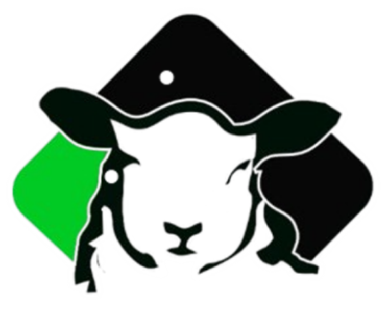 Sinatria Farm - Modern Sheep Farming Platform